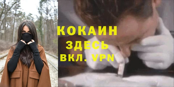 стаф Абдулино