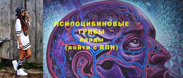 ПСИЛОЦИБИНОВЫЕ ГРИБЫ Алексин