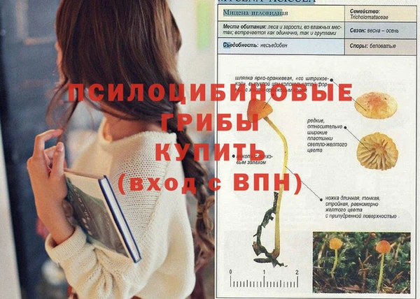 jwh Абинск