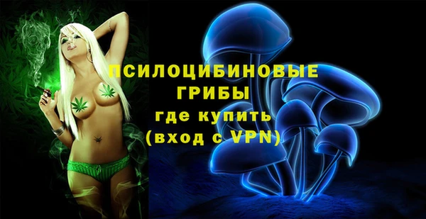 сатива Абаза