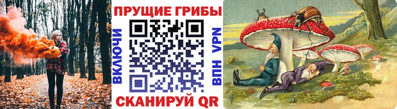 МЕГА маркетплейс  Иннополис  Галлюциногенные грибы ЛСД 