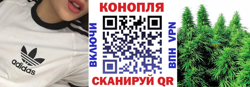 Бошки Шишки конопля  Иннополис 